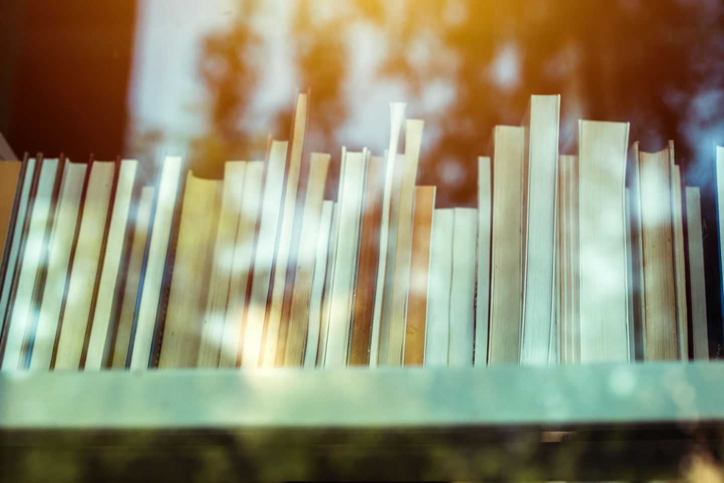 books-on-library-shelf-through-window