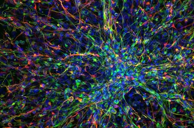 Drug that starves cancer cells could be first breakthrough against