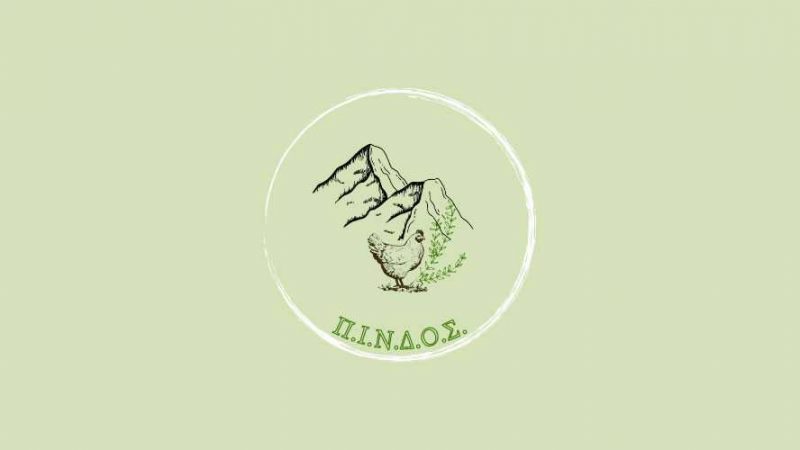 project-pindos-logo-feat